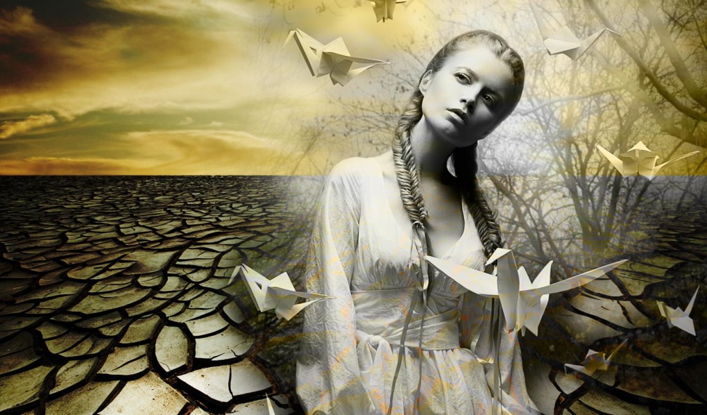 Digital Advertising Agency